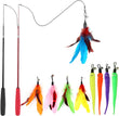 Interactive Cat Toys