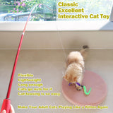 Interactive Cat Toys