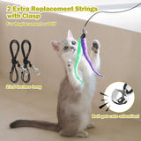 Interactive Cat Toys