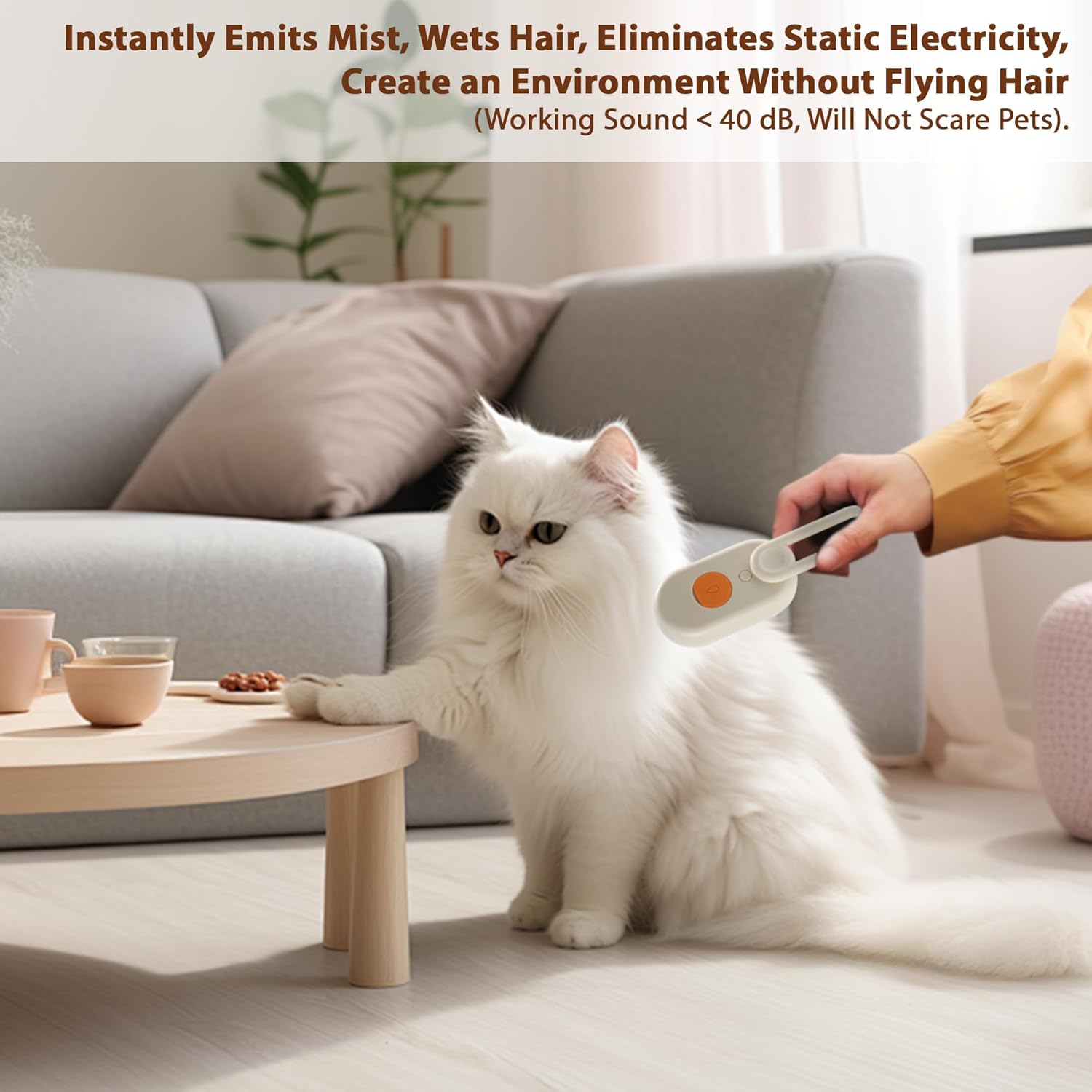 4 in 1 Cat Steam Brush, Rechargeable