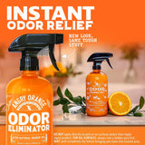 Pet Odor Eliminator for Dog and Cat Urine,