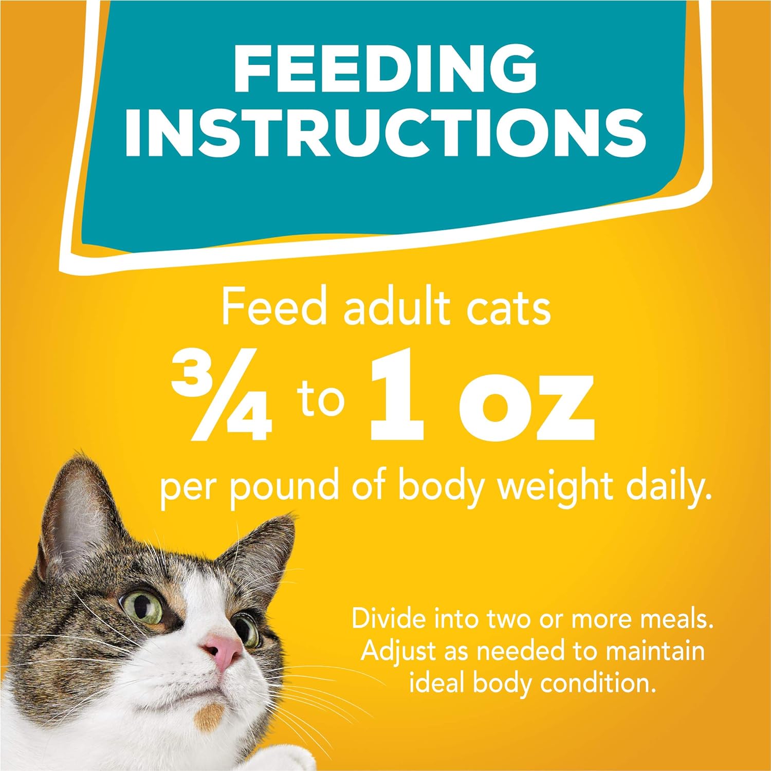 Friskies Wet Cat Food Variety Pack