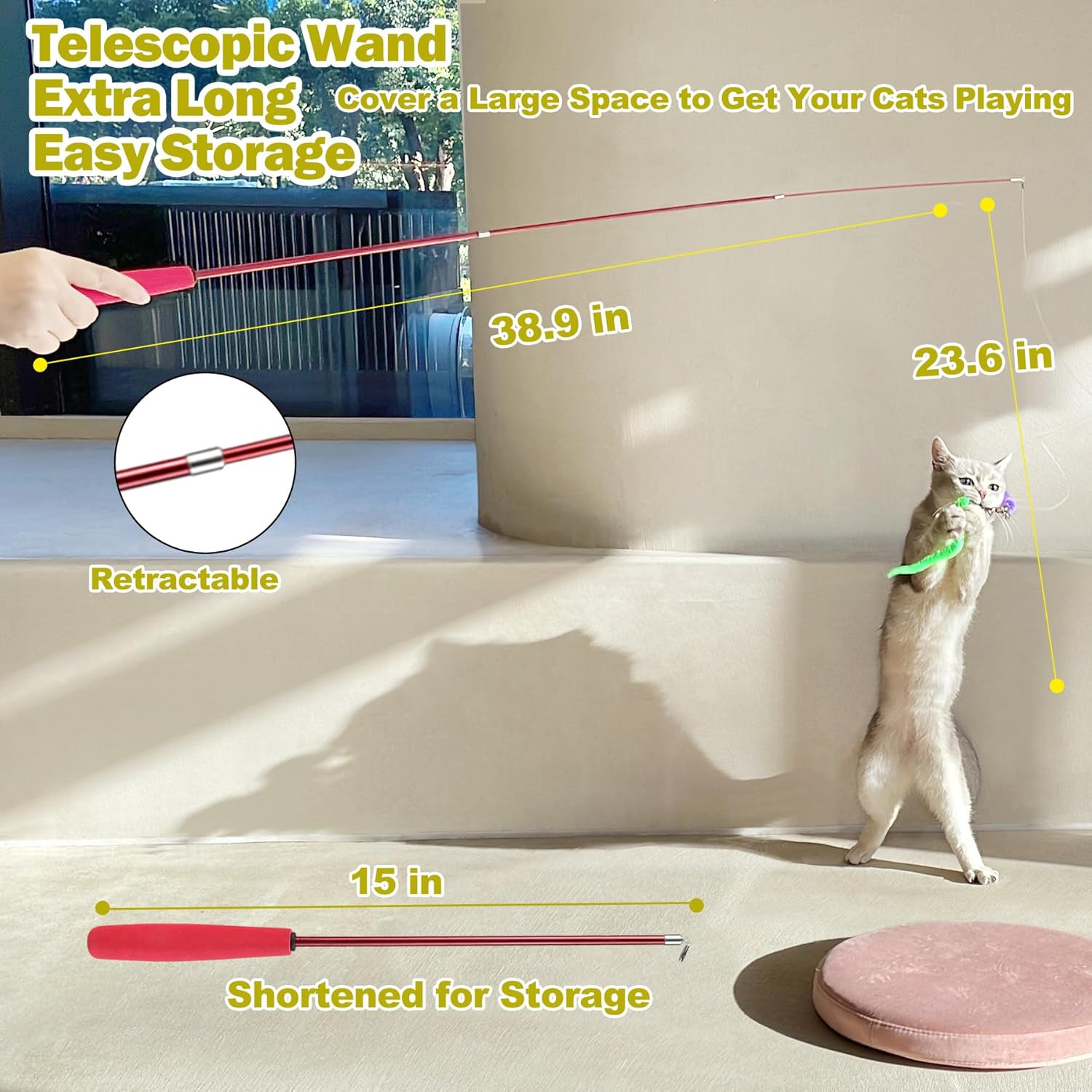 Interactive Cat Toys
