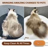 4 in 1 Cat Steam Brush, Rechargeable